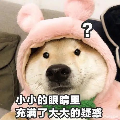DƬ